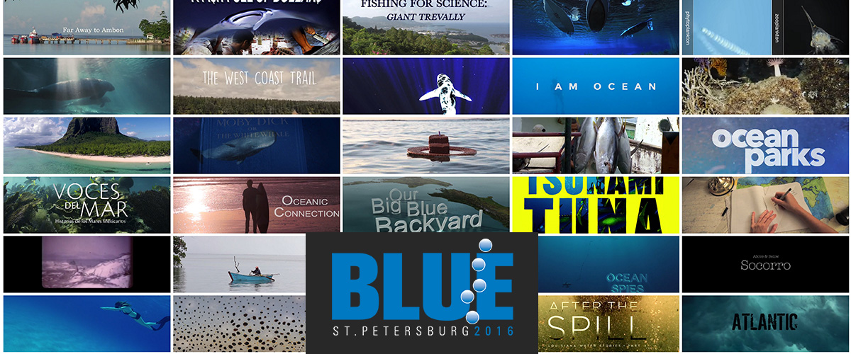 Blue Ocean Film Festival, Tampa Florida